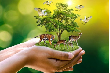 ગુજરાત: પર્યાવરણ સંરક્ષણની દિશામાં એક પગલું